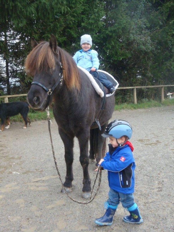 Kinder und Pferde