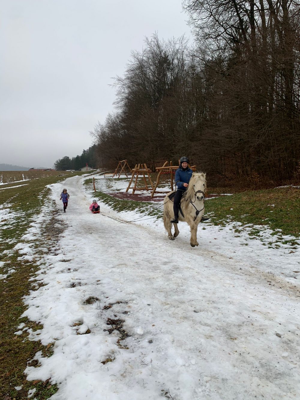Pferd zieht Bob nach im Schnee
