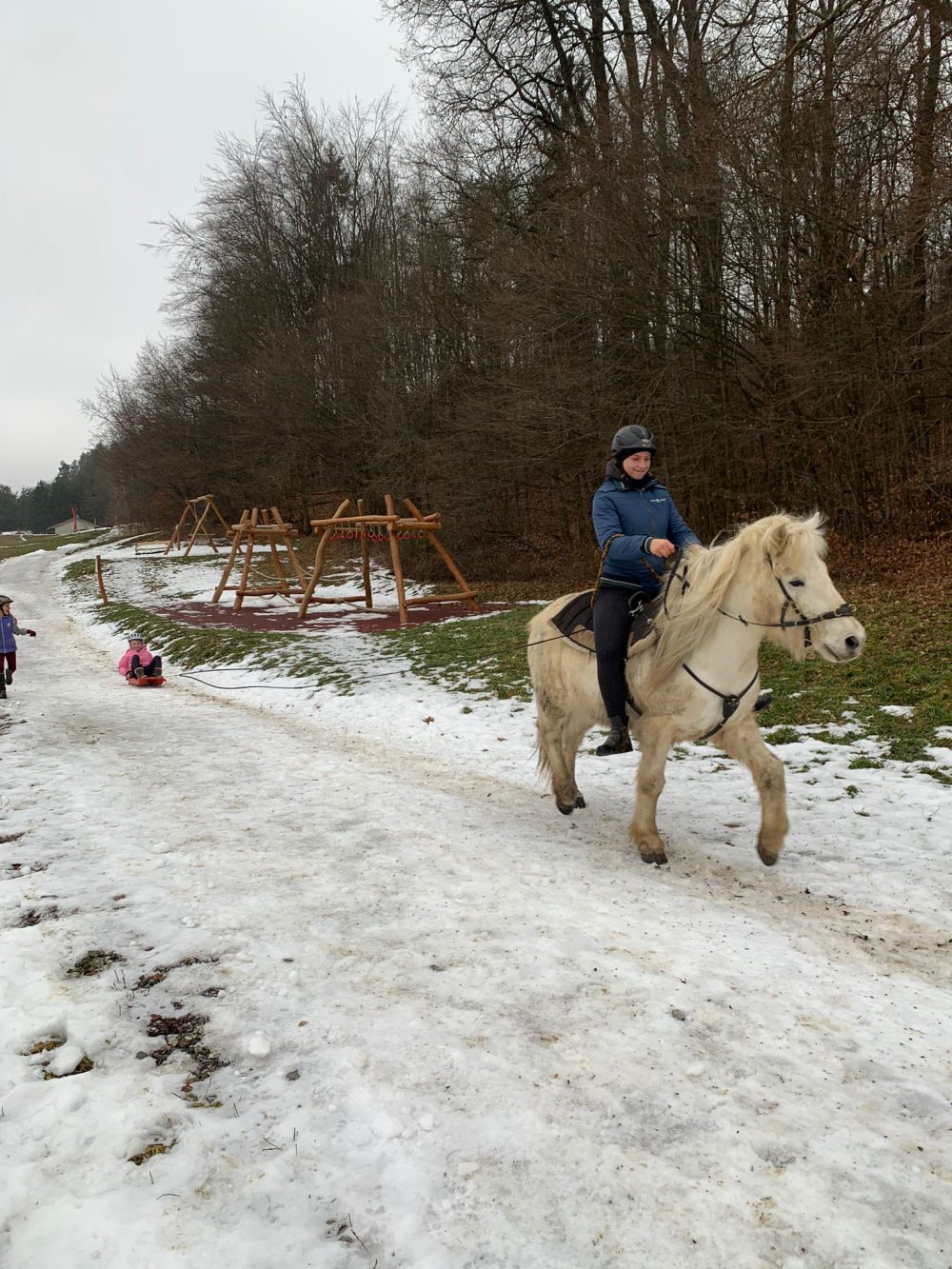 Pferd zieht Bob nach im Schnee