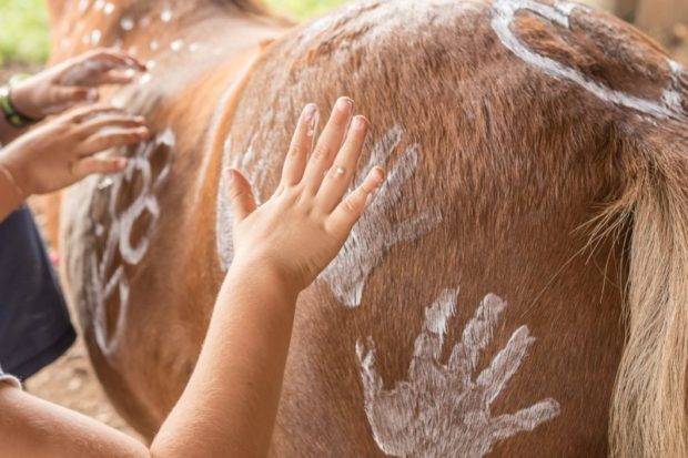 Kinder bemalen Pferd