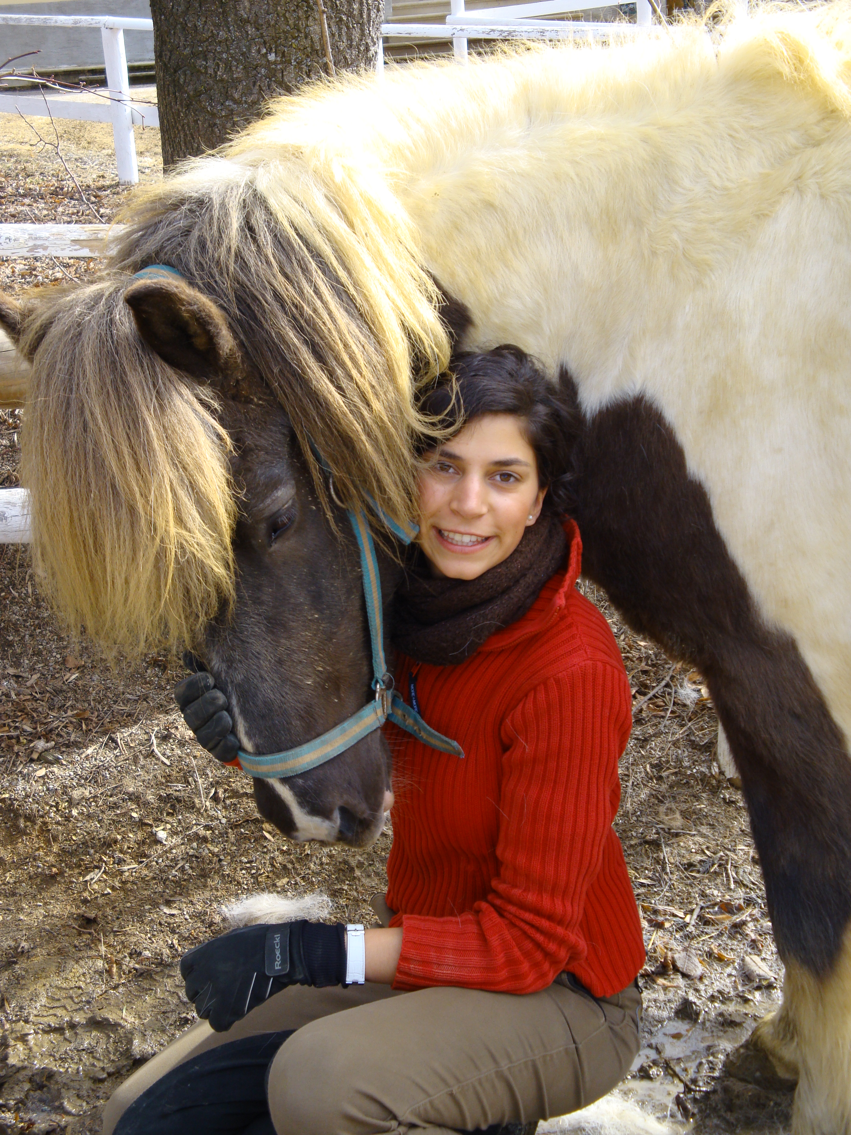 Gerda Martetschläger - Heilpädagogisches Reiten