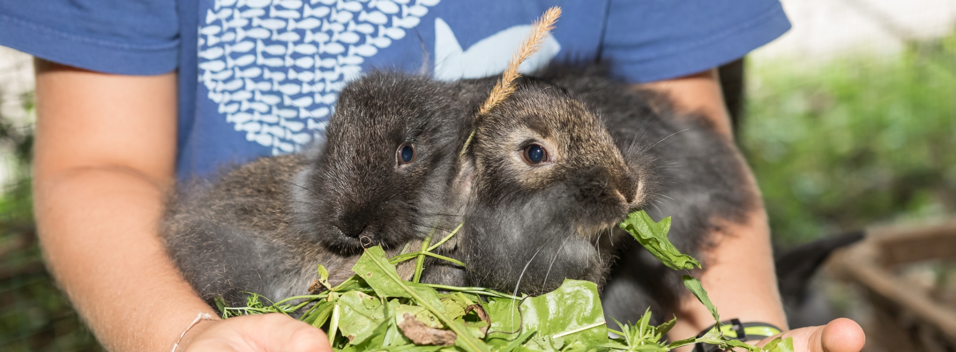 Kinder und Tiere